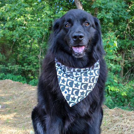 Skeleton Dog Bandana