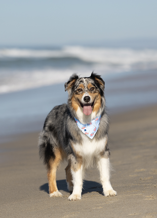 USA Dog Bandana