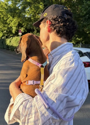 Rainbow - Dog Harness