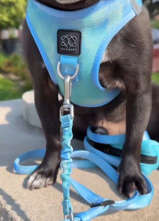The Summer AIR Harness - Ocean