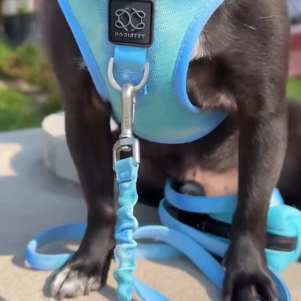 3-in-1 City Dog Leash - Ocean