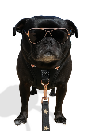 3-in-1 City Dog Leash - Rockstar