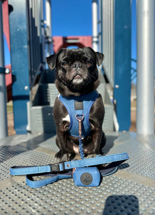 City Dog Leash - Denim