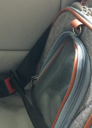 Mr. Peanut's Gold Series Standard Size Airline Compliant Pet Carrier