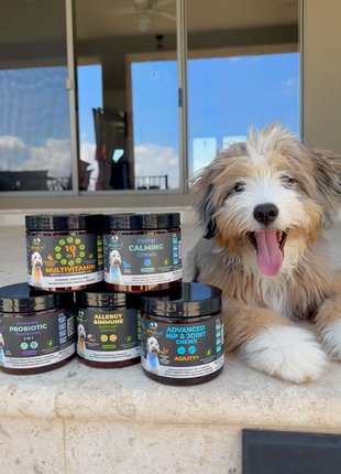 Allergy & Immune Support Chews for Dogs (Peanut Butter Flavor)