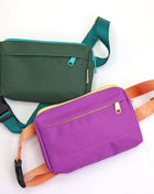 dog walking fanny pack