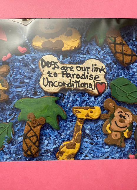 Safari Organic Dog Cookie Box