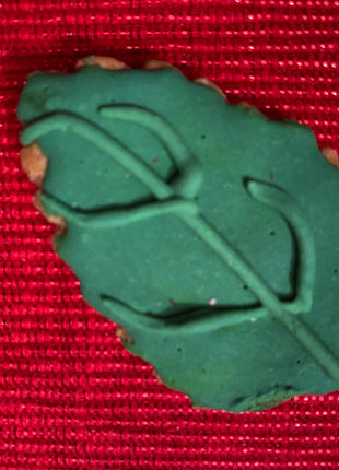 Safari Organic Dog Cookie Box