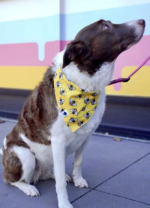 Bees & Daisy Dog Bandana