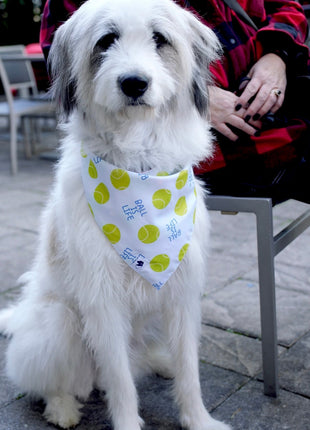 Ball Is Life Dog Bandana