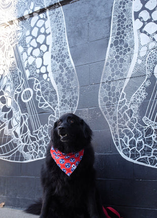 Nashville Tennessee Dog Bandana