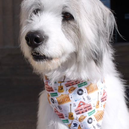 Nashville Tennessee Dog Bandana
