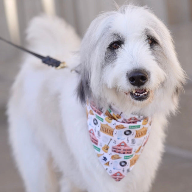 Nashville Tennessee Dog Bandana