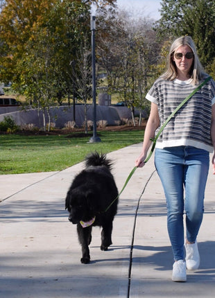 4x1 Waterproof Hands Free Dog Leash