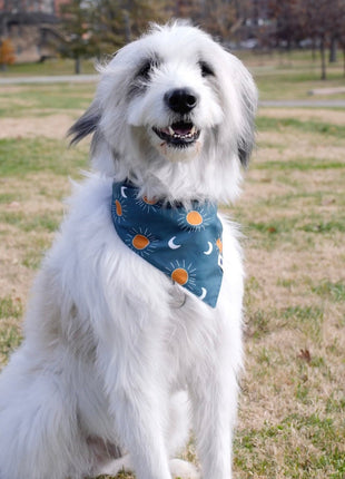 Blue Moon & Lightning Dog Bandana