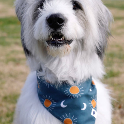 Blue Moon & Lightning Dog Bandana