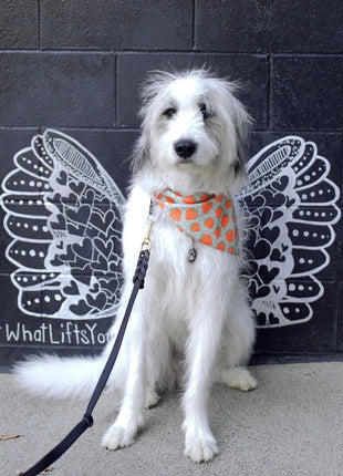 Watermelon & Strawberry Dog Bandana