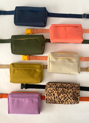 dog walking fanny pack