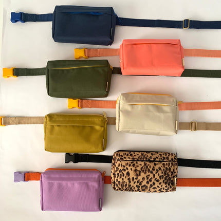dog walking fanny pack