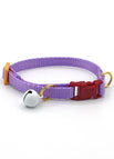 lilac colorblock