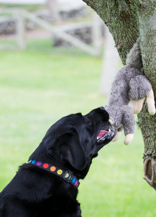 Feller Squirrel Plush Dog Toy - Pup List