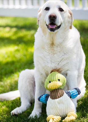 Dilly Duck Knottie® Plush Dog Toy - Pup List