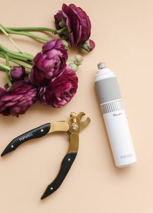 Ultimate Dog Grooming Kit