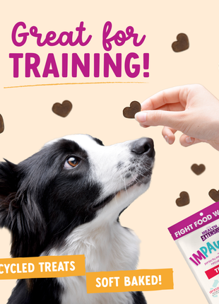 Impawfect Bacon Training Treats