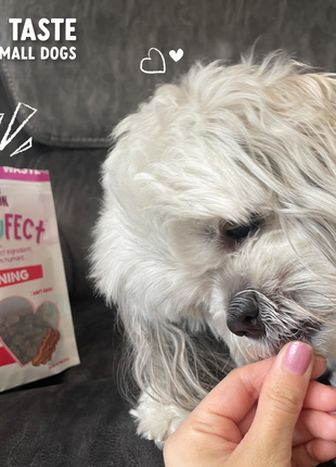 Impawfect Bacon Training Treats
