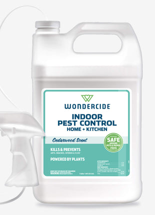 Indoor Pest Control for Home + Kitchen