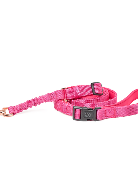 3-in-1 City Dog Leash - Park Ave Pink