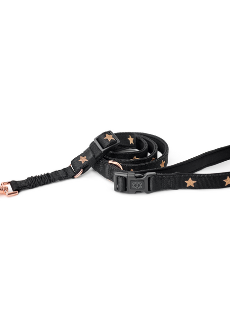 3-in-1 City Dog Leash - Rockstar