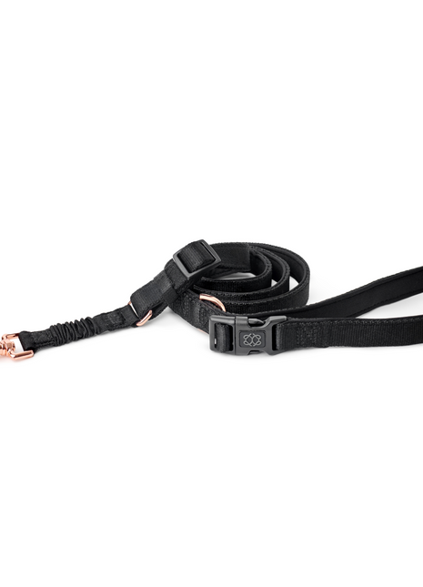 3-in-1 City Dog Leash - Rockstar - Pup List