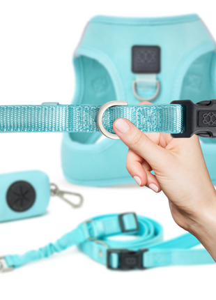 City Collar - Fifth Avenue