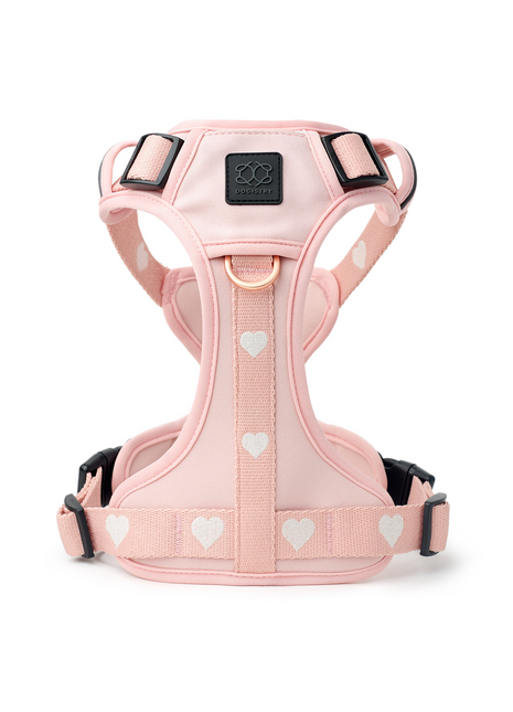 The NoMad Adjustable Luxe Harness - Sweetheart