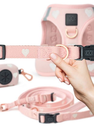 City Collar - Sweetheart