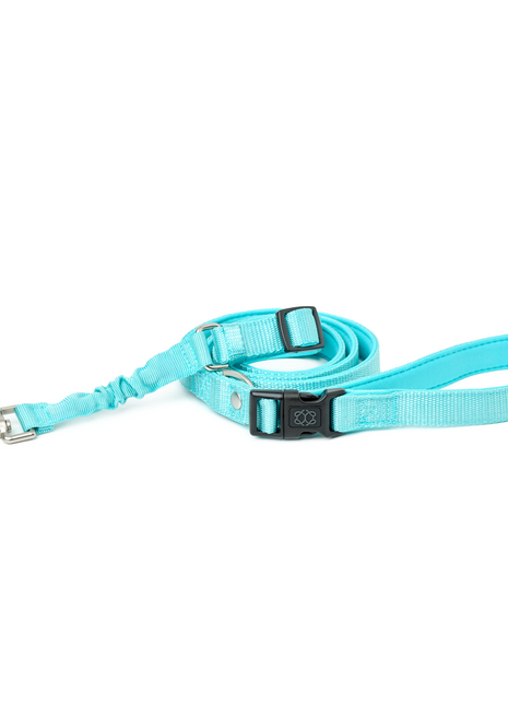 3-in-1 City Dog Leash - Fifth Avenue