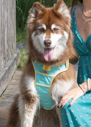 Island Vibes Ultimate Dog Harness