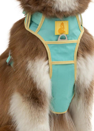 Island Vibes Ultimate Dog Harness