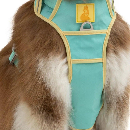 Island Vibes Ultimate Dog Harness