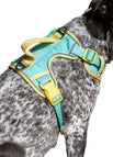 Aqua / Sunshine Yellow / Small