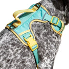 Aqua / Sunshine Yellow