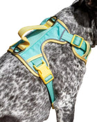 Island Vibes Ultimate Dog Harness