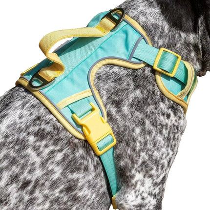 Island Vibes Ultimate Dog Harness