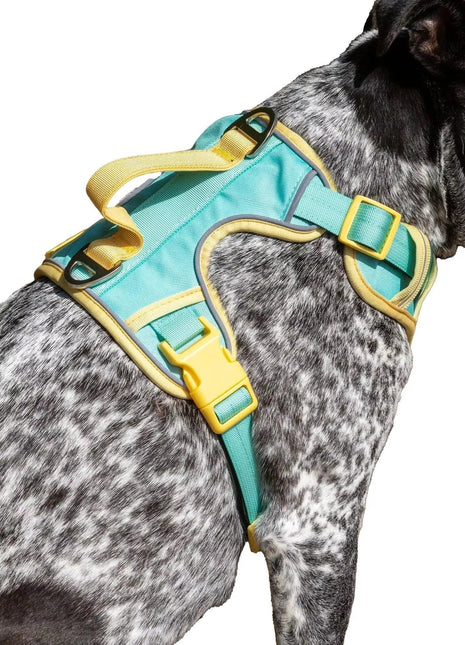 Island Vibes Ultimate Dog Harness