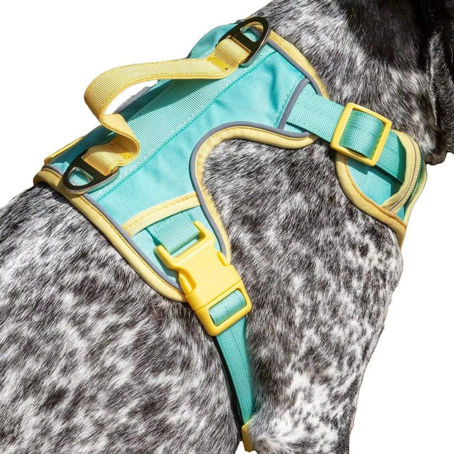 Island Vibes Ultimate Dog Harness
