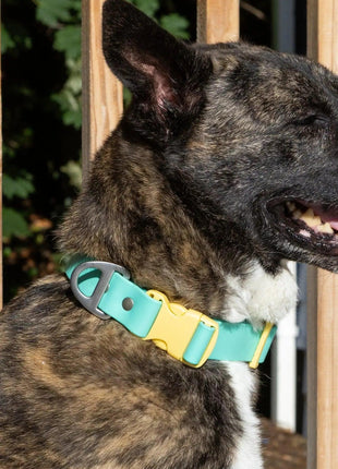 Island Vibes Waterproof Dog Collar