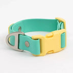 Aqua / Sunshine Yellow