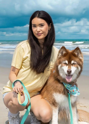 Island Vibes Waterproof Dog Collar