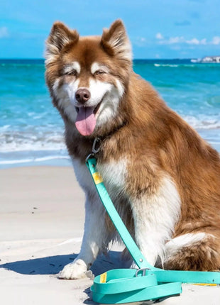Island Vibes Waterproof Dog Leash